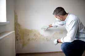 Best Mold Remediation for Healthcare Facilities  in Greenfield, OH